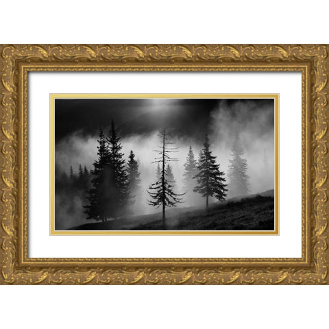Misty Forest Gold Ornate Wood Framed Art Print with Double Matting by Oncete, Julien