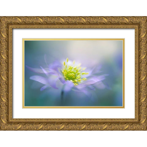 Windflower Gold Ornate Wood Framed Art Print with Double Matting by Parker, Jacky
