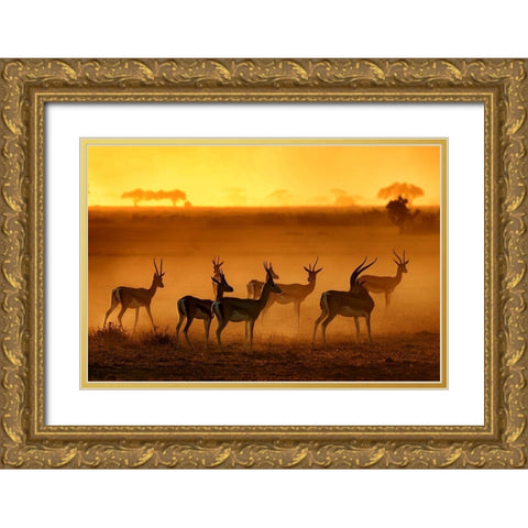 Golden Light Gold Ornate Wood Framed Art Print with Double Matting by Guillemot, Mathilde