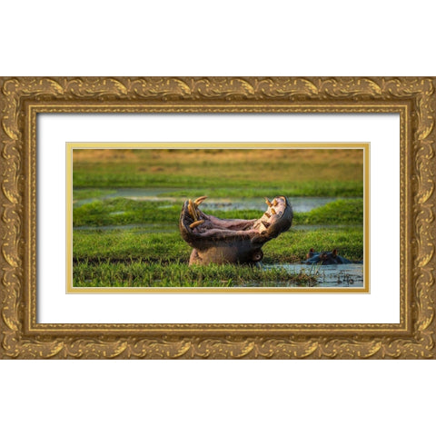 Dare To Yawn Gold Ornate Wood Framed Art Print with Double Matting by Doyle, Renee
