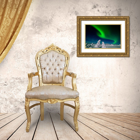 Polar Light, Finnland Gold Ornate Wood Framed Art Print with Double Matting by Alicke, Bjoern