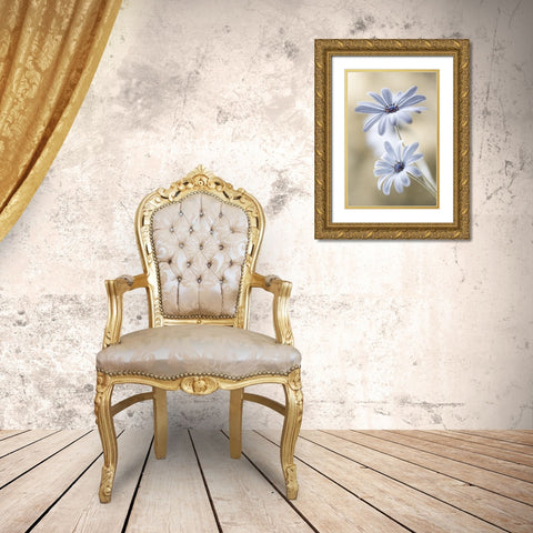Cape Daisies Gold Ornate Wood Framed Art Print with Double Matting by Disher, Mandy