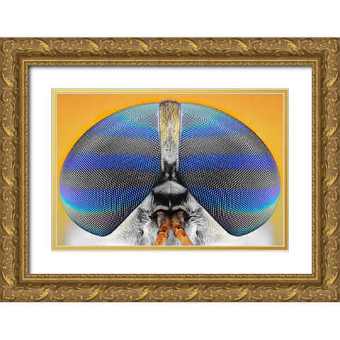 Untitled Gold Ornate Wood Framed Art Print with Double Matting by Jusa, Donald