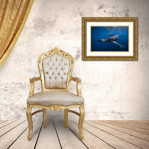 Humpback Whale Familys Gold Ornate Wood Framed Art Print with Double Matting by Gabriel, Barathieu