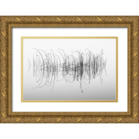 Graphic Gold Ornate Wood Framed Art Print with Double Matting by Pettersson, Benny