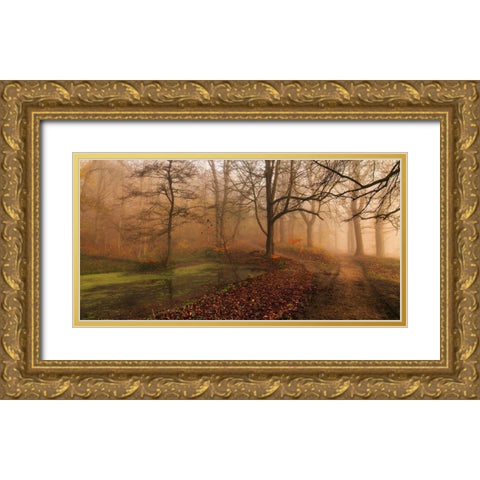 Which Path Ii Gold Ornate Wood Framed Art Print with Double Matting by Londal, Leif