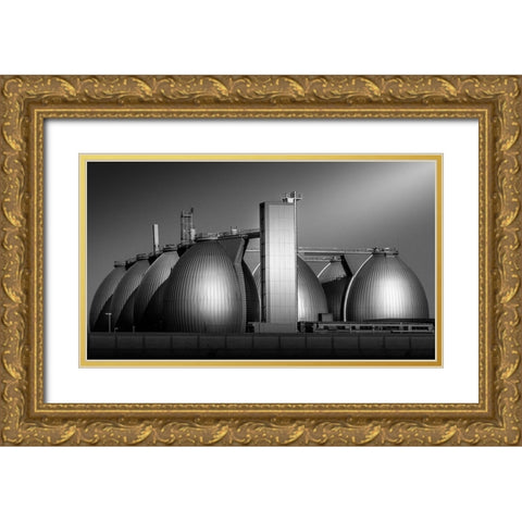 Eggs Gold Ornate Wood Framed Art Print with Double Matting by Rauwerdink, Jan