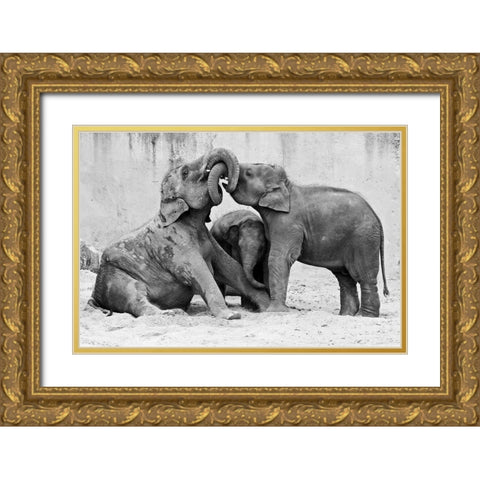 Ma?Nage A? Trois Gold Ornate Wood Framed Art Print with Double Matting by Wenner-Braun, Antje
