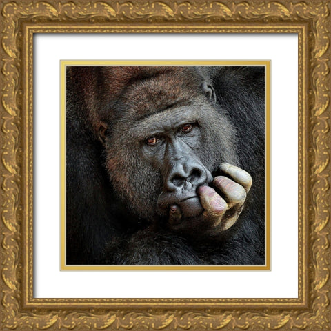 Dont Forget Me .... Gold Ornate Wood Framed Art Print with Double Matting by Wenner-Braun, Antje