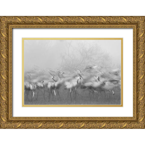 Agamon Hula Gold Ornate Wood Framed Art Print with Double Matting by Eichelberg, Amnon
