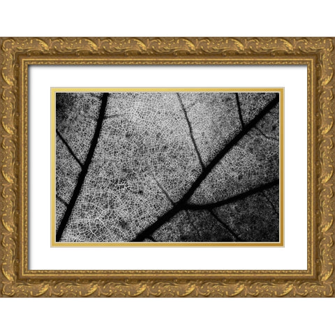 Streets Gold Ornate Wood Framed Art Print with Double Matting by Chiarello, Matteo