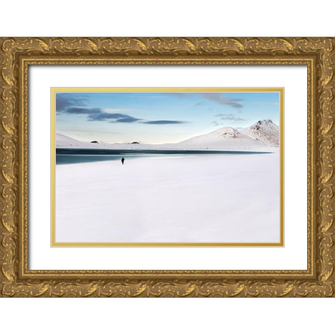 Lost In Iceland Gold Ornate Wood Framed Art Print with Double Matting by Luca, Liloni