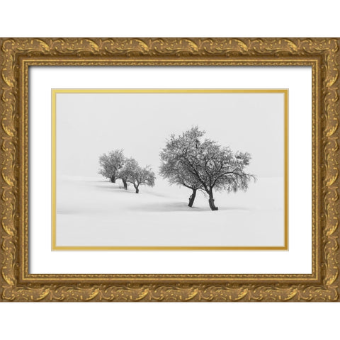 White Carpet Ii Gold Ornate Wood Framed Art Print with Double Matting by Carrillo Lopez, Antonio