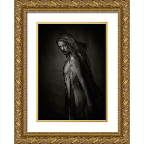 Sheer Black Gold Ornate Wood Framed Art Print with Double Matting by Catchlight Studio