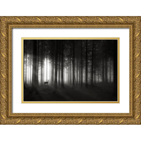 Deer`S Morning Gold Ornate Wood Framed Art Print with Double Matting by Hessel, Christoph