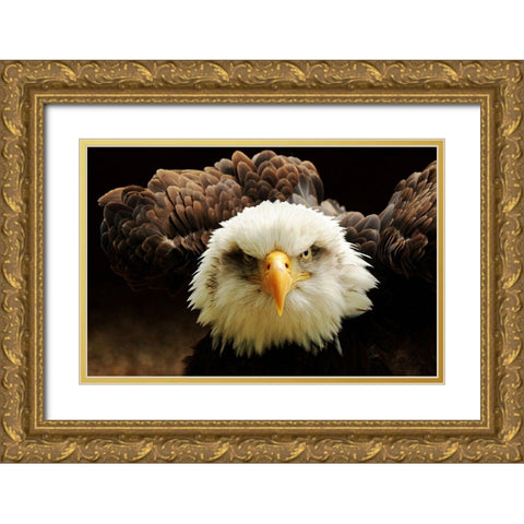 The Judge Gold Ornate Wood Framed Art Print with Double Matting by Kirwan, Tim