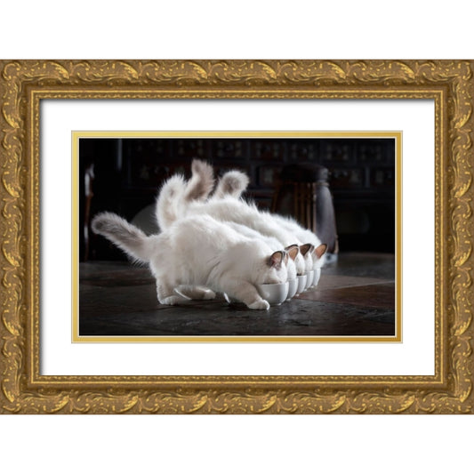 Perspective Image