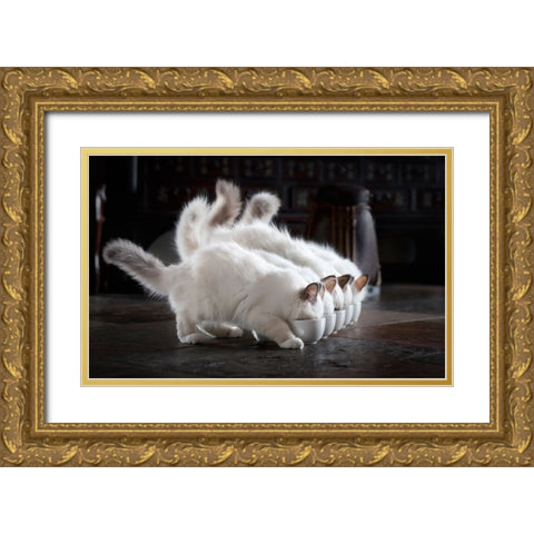 Let There Be Milk Gold Ornate Wood Framed Art Print with Double Matting by Lehto, Timo