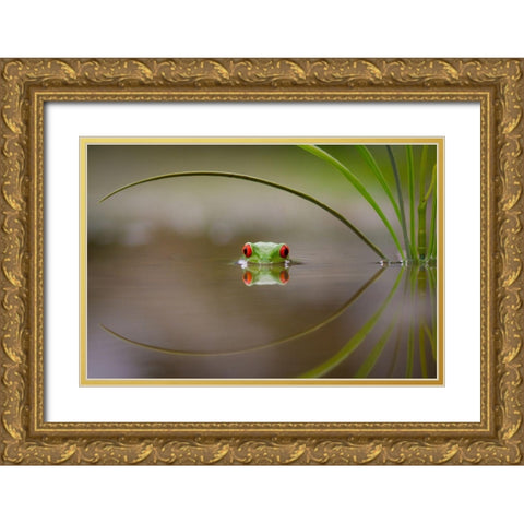 Beauty Of Reflection Gold Ornate Wood Framed Art Print with Double Matting by Uddin, Kutub
