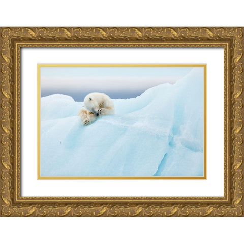 Polar Bear Grooming Gold Ornate Wood Framed Art Print with Double Matting by Gil Raga, Joan
