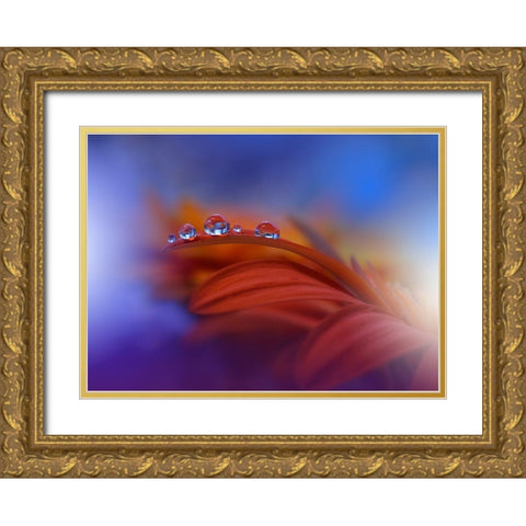 Metamorphosis Gold Ornate Wood Framed Art Print with Double Matting by Nan, Juliana