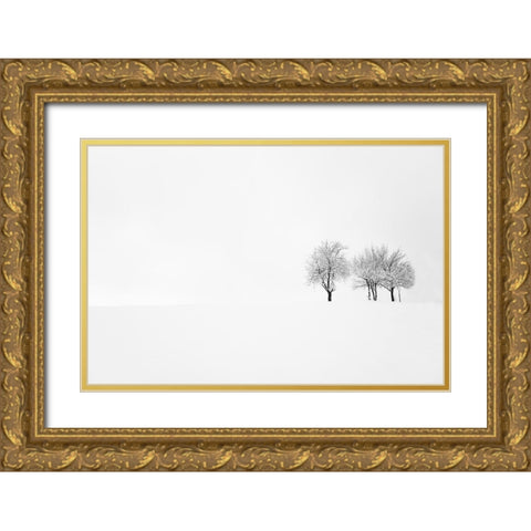 Tree And Silence Gold Ornate Wood Framed Art Print with Double Matting by Bajrich, Amir
