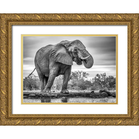 Standing Proud Gold Ornate Wood Framed Art Print with Double Matting by Marx, Jaco