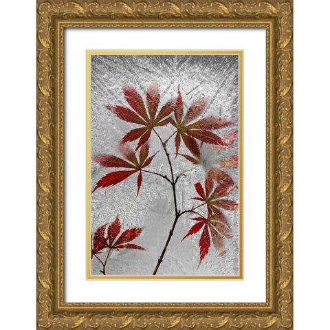 Red Maple Gold Ornate Wood Framed Art Print with Double Matting by Losada, Secundino