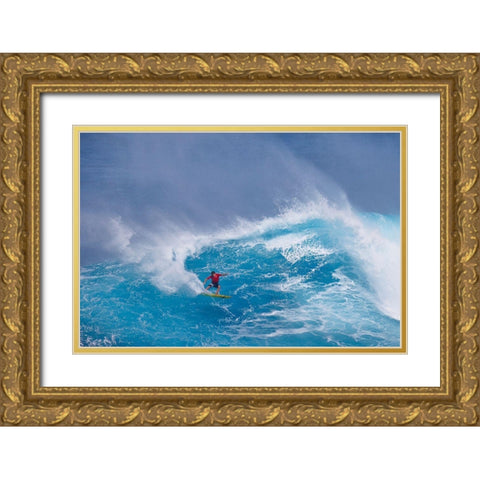 Daredevil Gold Ornate Wood Framed Art Print with Double Matting by Stahl, Peter