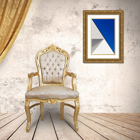 Structured Illusion Gold Ornate Wood Framed Art Print with Double Matting by Custodio, Joao