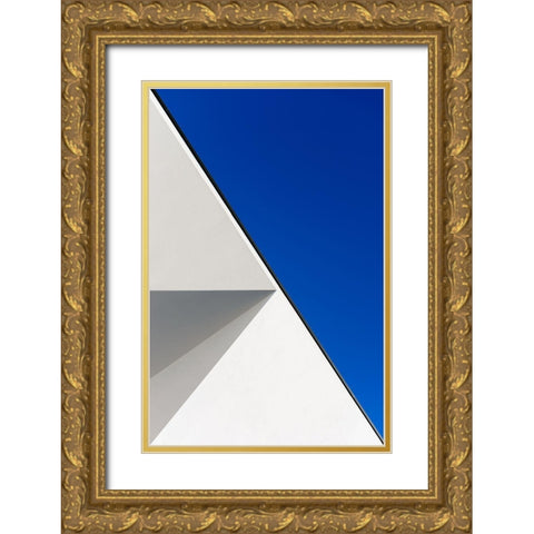 Structured Illusion Gold Ornate Wood Framed Art Print with Double Matting by Custodio, Joao