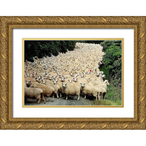 New Zealand Traffic Jam Gold Ornate Wood Framed Art Print with Double Matting by Tzur, Yair