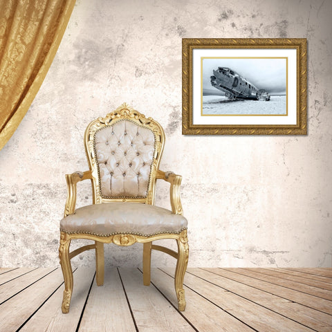 Safe Landing Gold Ornate Wood Framed Art Print with Double Matting by Benussi, Anthony