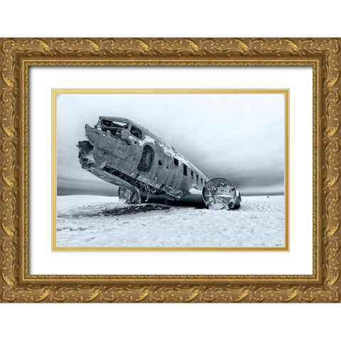 Safe Landing Gold Ornate Wood Framed Art Print with Double Matting by Benussi, Anthony