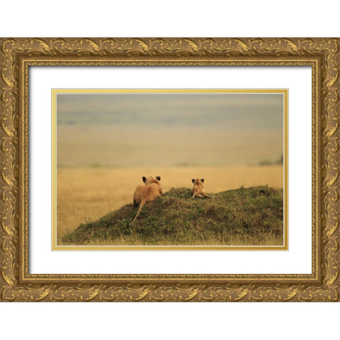 One Day It Will Be Yours Gold Ornate Wood Framed Art Print with Double Matting by Mei, Massimo