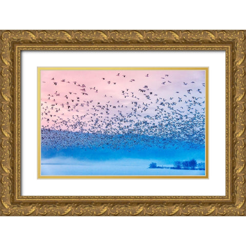 Flying In The Fogging Morning Gold Ornate Wood Framed Art Print with Double Matting by Li, Rob
