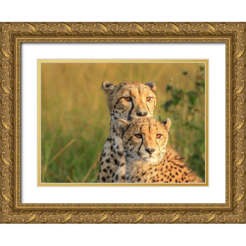 Double Team Gold Ornate Wood Framed Art Print with Double Matting by Marx, Jaco