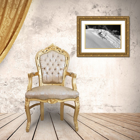 Freeride Gold Ornate Wood Framed Art Print with Double Matting by Rebro, Marcel