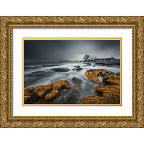 Stormy Gold Ornate Wood Framed Art Print with Double Matting by Hoffmann, Raymond