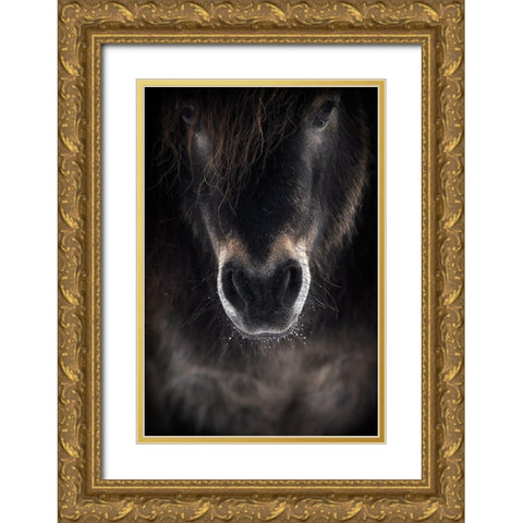 Ulysses Gold Ornate Wood Framed Art Print with Double Matting by Ri, P