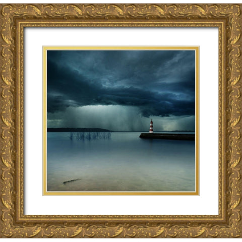 Untitled Gold Ornate Wood Framed Art Print with Double Matting by Zarys, Mindaugas