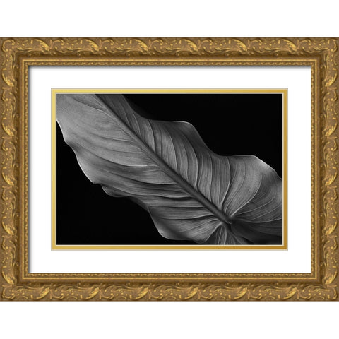 Female Gold Ornate Wood Framed Art Print with Double Matting by Pascual Buye, Santiago