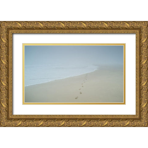 Isolation Gold Ornate Wood Framed Art Print with Double Matting by Pearce, Simon