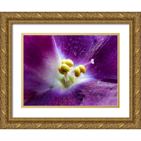 Violet Gold Ornate Wood Framed Art Print with Double Matting by Markovic, Vojislav