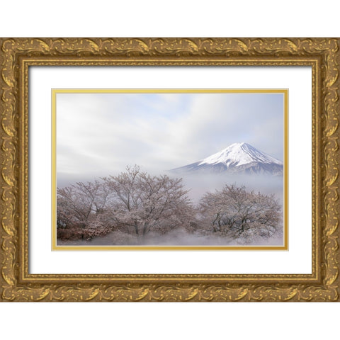 Mt.Fuji In Spring Gold Ornate Wood Framed Art Print with Double Matting by Iga, Ikuo
