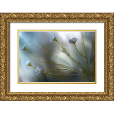 Jasmine Gold Ornate Wood Framed Art Print with Double Matting by Disher, Mandy