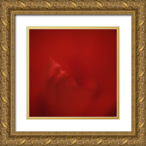 All Red Gold Ornate Wood Framed Art Print with Double Matting by Gronkjar, Lotte