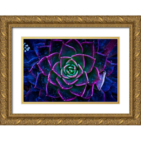 Wild Flowers Gold Ornate Wood Framed Art Print with Double Matting by Pandya, Hardik