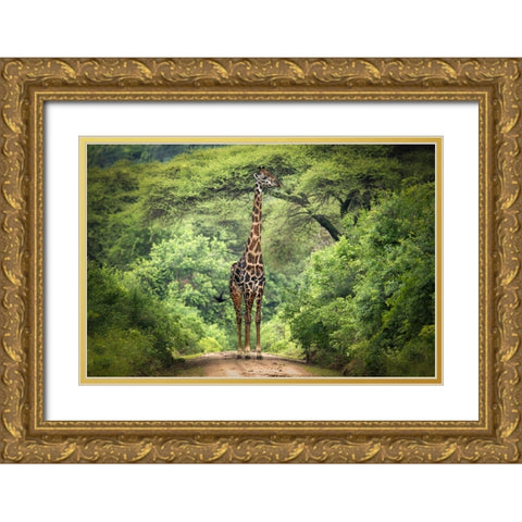 Unexpected Meeting Gold Ornate Wood Framed Art Print with Double Matting by Trubitsyn, Kirill