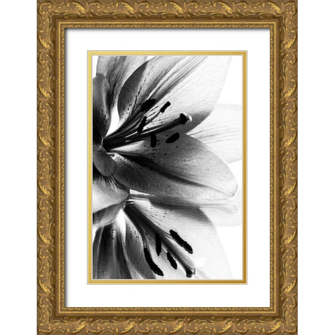 Lily Gold Ornate Wood Framed Art Print with Double Matting by Koenig, Andre